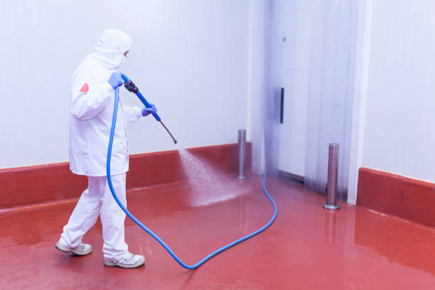 Paint Preparation in Boaz, AL